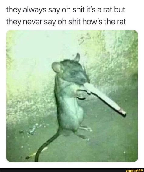 OH SHIT A RAT! Smart move jumping down like that... End of the Fay, it was the right choice. Edit: That was a typo, but now I’m keeping it. lmao i love how your first response is "run away :O!!!" Your gamma it's too high mate... Maybe he want to see things, or just fears dark places. 